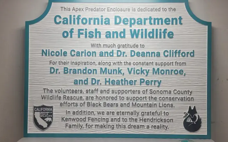 Attractive Campus Wayfinding Signage